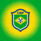 巴西国家足球队绿色黄色国旗标志